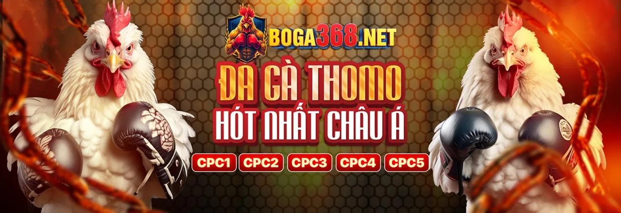 Chương trình hoàn trả hàng tuần cho thành viên g88 nhà cái